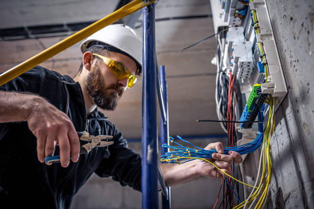 Best Electric Panel Repair  in Wildwood, MO